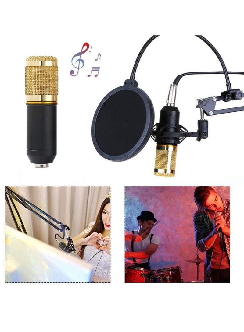 LEDIN Podcast Equipment Bundle,BM-800 Recording Studio Package with Voice Changer,Live Sound Card - Audio Interface for Laptop Computer Vlog Living Broadcast Live Streaming YouTube TikTok(V8) - Image 4