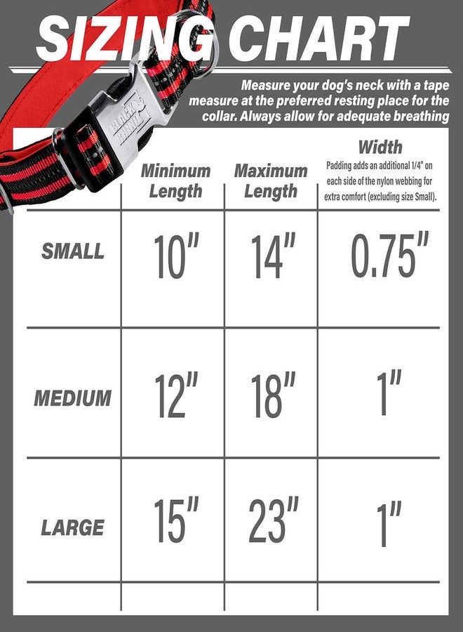 بلاك رينو طوق بلاك راينو - طوق هجين مخطط للكلاب (صغير) للسلالات المتوسطة والكبيرة | متين | نيوبرين مبطن ناعم - عاكس وقابل للتعديل - تباع المقاود المتناسقة بشكل منفصل - Image 3