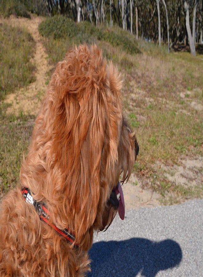 بلاك رينو طوق بلاك راينو - طوق هجين مخطط للكلاب (صغير) للسلالات المتوسطة والكبيرة | متين | نيوبرين مبطن ناعم - عاكس وقابل للتعديل - تباع المقاود المتناسقة بشكل منفصل - Image 5