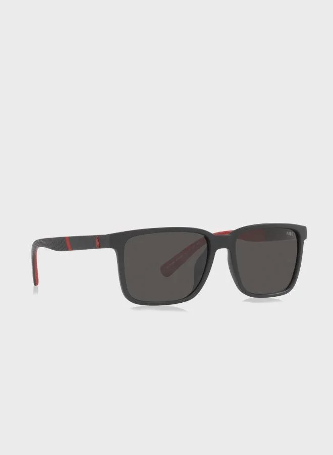 POLO RALPH LAUREN  0Ph4189U Wayfarers Sunglasses for Men | Best Price UAE