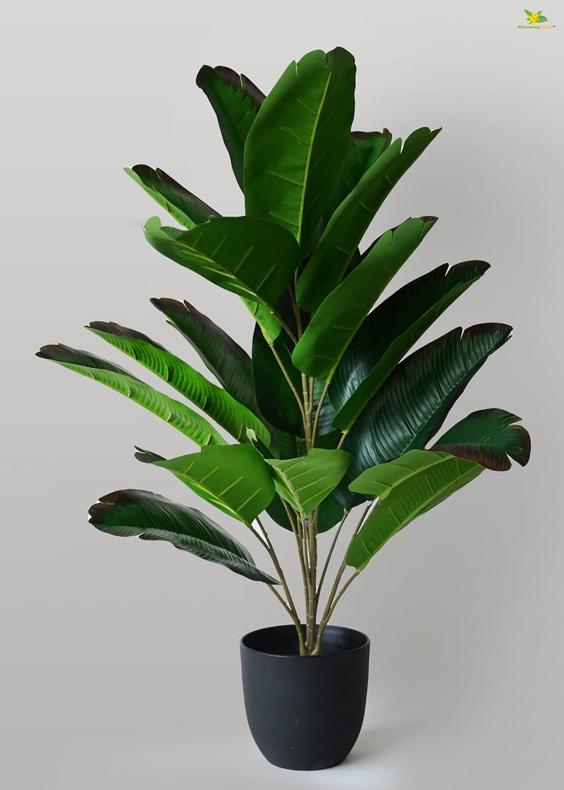 Blooming Floret Artificial Bird of Paradise Plant – 78.7 cm Tall with 21 Green Leaves and Brown Edges – Includes Basic Black Pot – Large Decorative Plant for Home or Interior Décor - Image 1