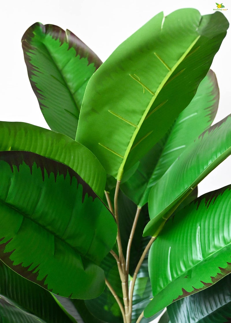 Blooming Floret Artificial Bird of Paradise Plant – 78.7 cm Tall with 21 Green Leaves and Brown Edges – Includes Basic Black Pot – Large Decorative Plant for Home or Interior Décor - Image 2