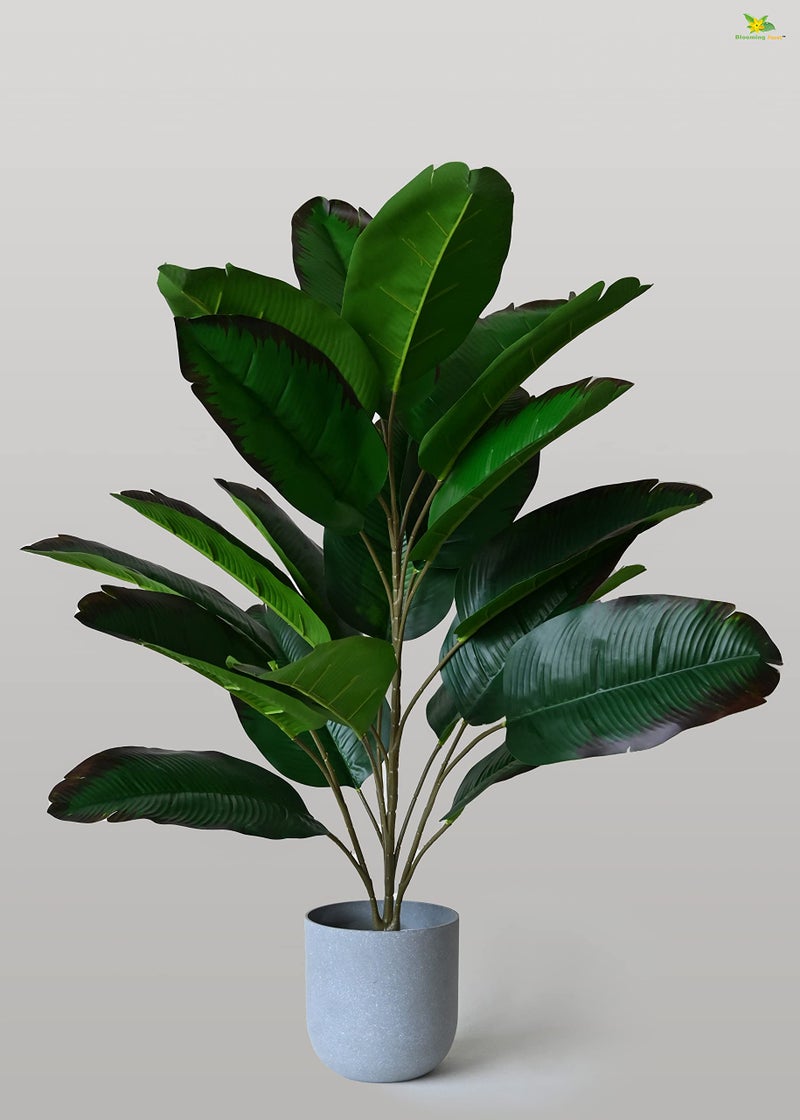 Blooming Floret Artificial Bird of Paradise Plant – 78.7 cm Tall with 21 Green Leaves and Brown Edges – Includes Basic Black Pot – Large Decorative Plant for Home or Interior Décor - Image 5
