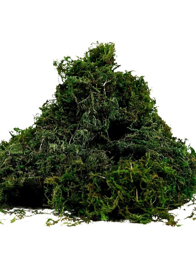 LINGWEI Artificial Moss Fake Green Moss 400gm Premium Faux Green Grass for Potted Plant for Table Centerpieces Garden Decor Home and Kitchen - Image 1