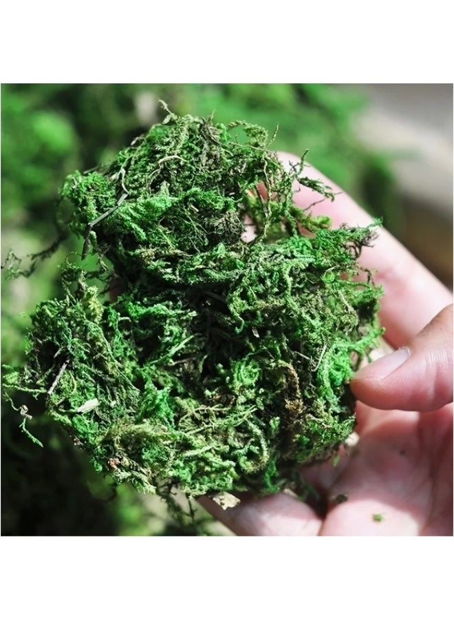 LINGWEI Artificial Moss Fake Green Moss 400gm Premium Faux Green Grass for Potted Plant for Table Centerpieces Garden Decor Home and Kitchen - Image 4