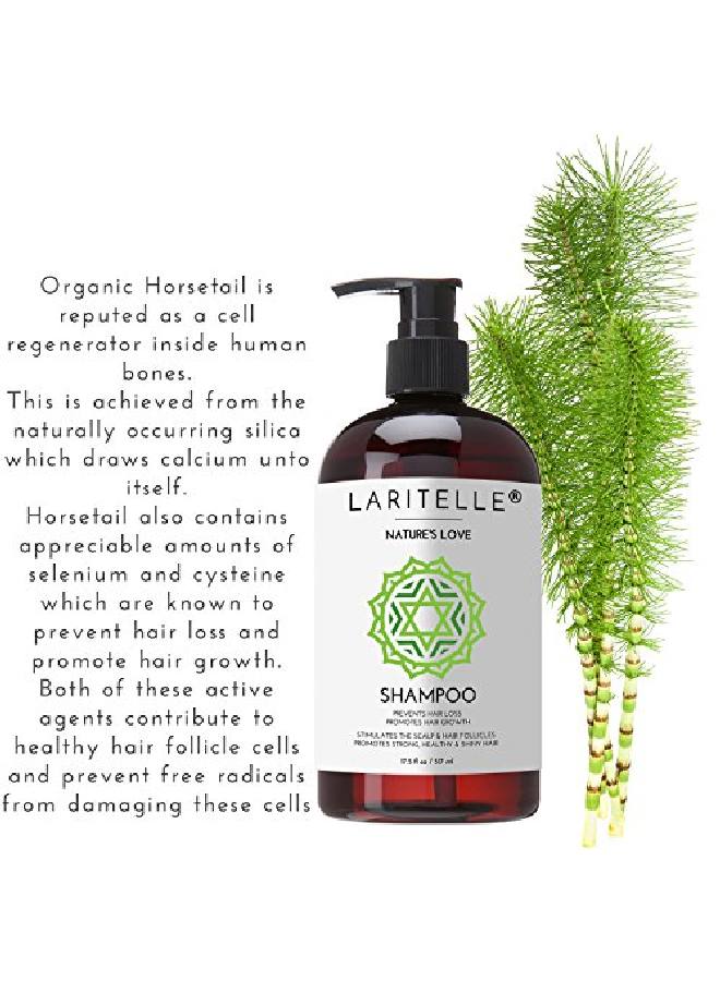 Laritelle Organic Shampoo 175 Oz ; Organic Quinoa + Keratin + Follicle Stimulating Rosemary Ginger & Grapefruit ; Hair Loss Prevention Clarifying Softening Strengthening ; No Gmo Vegan - Image 3