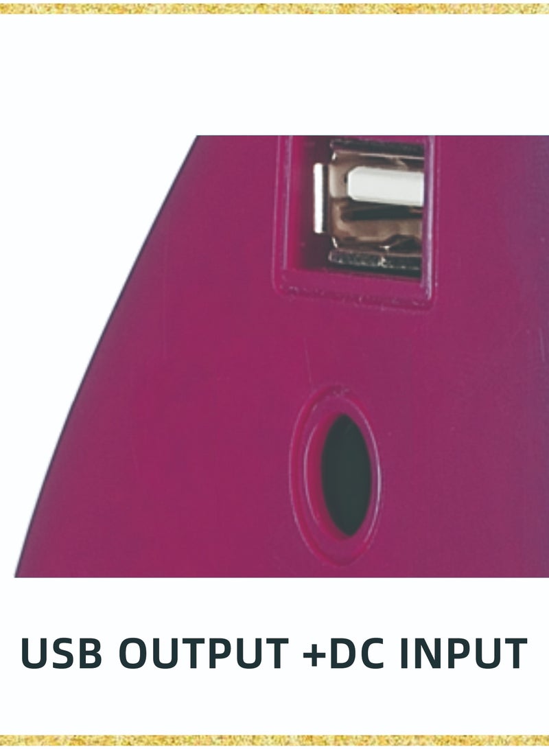 Stargold Rechargeable 4D LED Emergency Lantern 6V 4.5AH Regulated Battery - Image 5