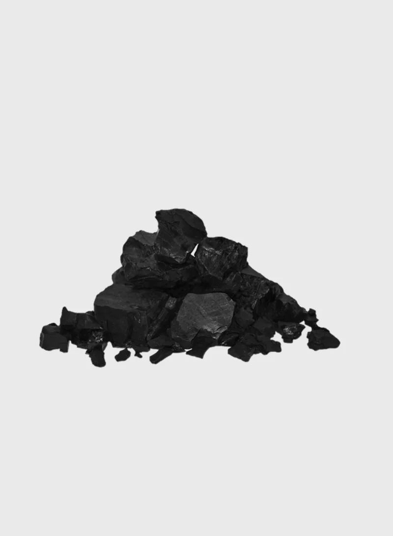 L'OREAL PARIS Pure Clay Black Cleanser With Charcoal, Detoxifies & Clarifies, 150 Ml