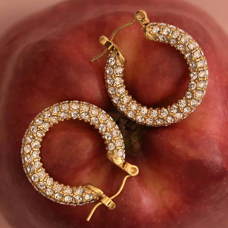Palmonas PALMONAS CZ Studded Stud Earrings for Women | 18K Gold Plated, Waterproof & Anti-Tarnish