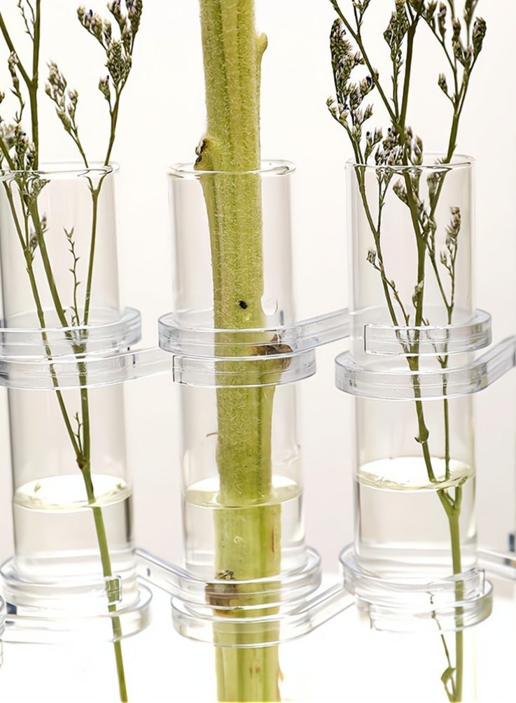 واي آند دي Test Tube Vase, Glass Flower Vases Hydroponic Vase Desktop Plant Terrarium Planter 18x3CM - Image 3