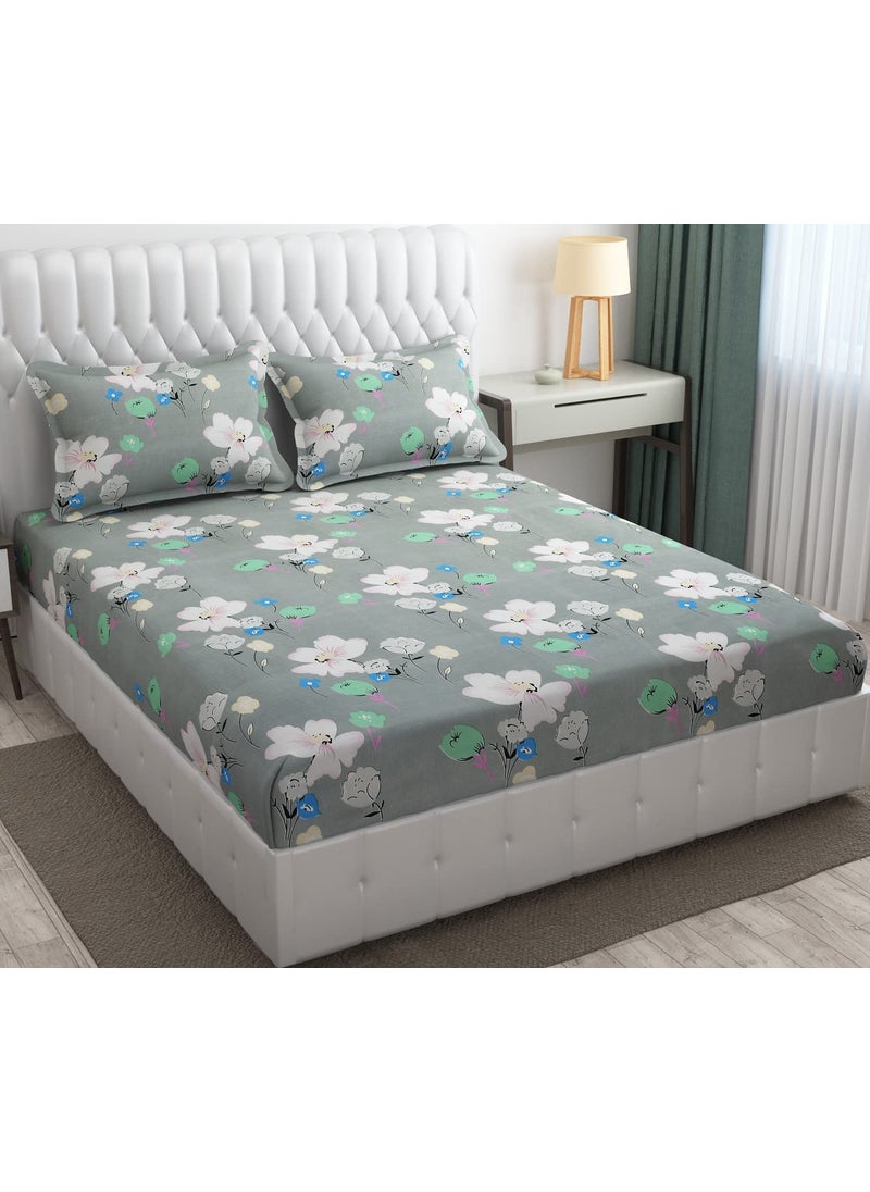 Rj Products Rj Products Super Soft Glace Cotton King Size Double bedsheets with 2 Pillow Covers Design10  - Image 1