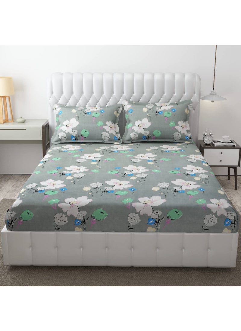 Rj Products Rj Products Super Soft Glace Cotton King Size Double bedsheets with 2 Pillow Covers Design10  - Image 2