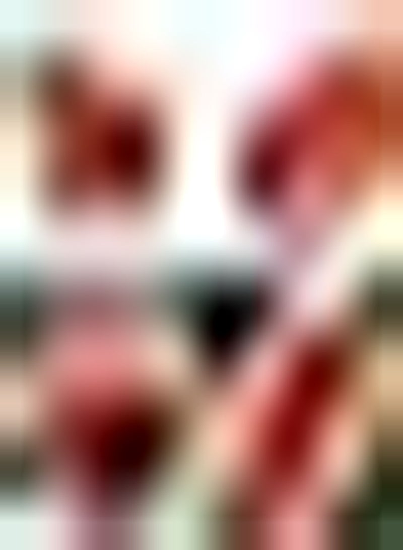 GGOOT 50Stück Wassermelonenkerne süß und Lecker beliebtes Obst Einfach zu bedienen Werden zu Einer bezaubernden Landschaft zu Hause Ökologische Wirkung - Image 2