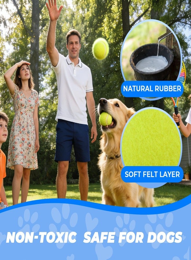 INSUM Squeaky Dog Balls - Squeaky Tennis Balls for Dogs, Yellow | Medium - 2.5'', 20Pack - Image 3