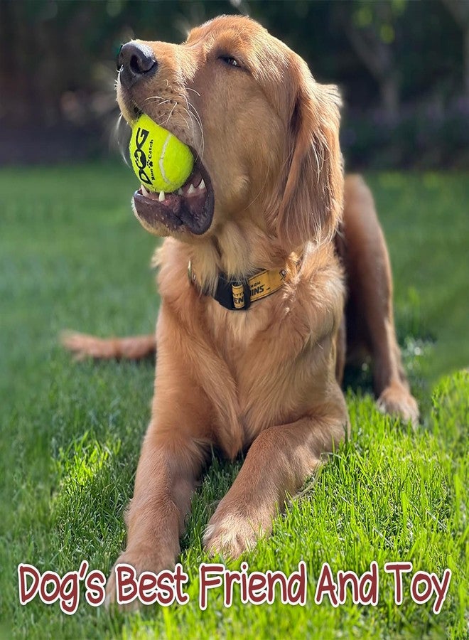 INSUM Squeaky Dog Balls - Squeaky Tennis Balls for Dogs, Yellow | Medium - 2.5'', 20Pack - Image 5