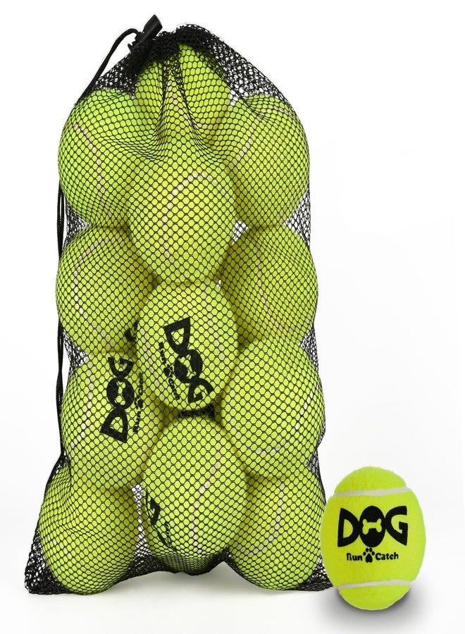 INSUM Squeaky Dog Balls - Squeaky Tennis Balls for Dogs, Yellow | Medium - 2.5'', 20Pack - Image 1