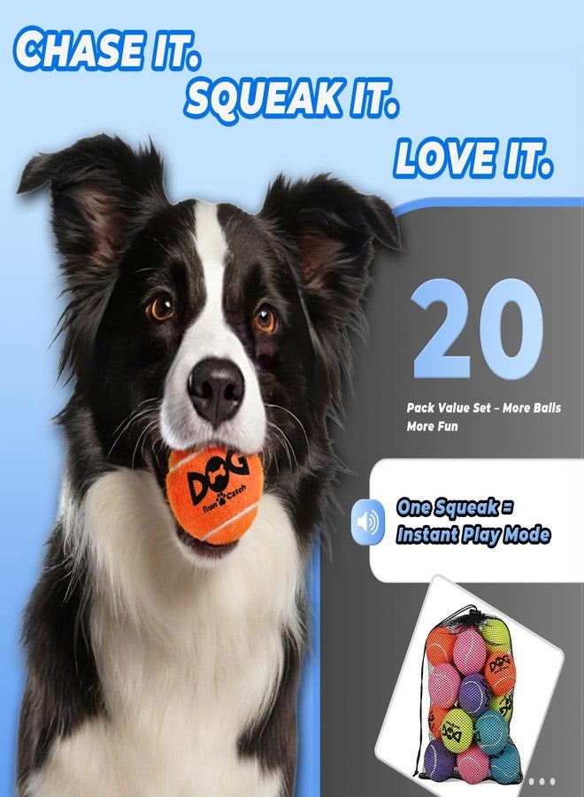 INSUM Squeaky Dog Balls - Squeaky Tennis Balls for Dogs, Yellow | Medium - 2.5'', 20Pack - Image 4
