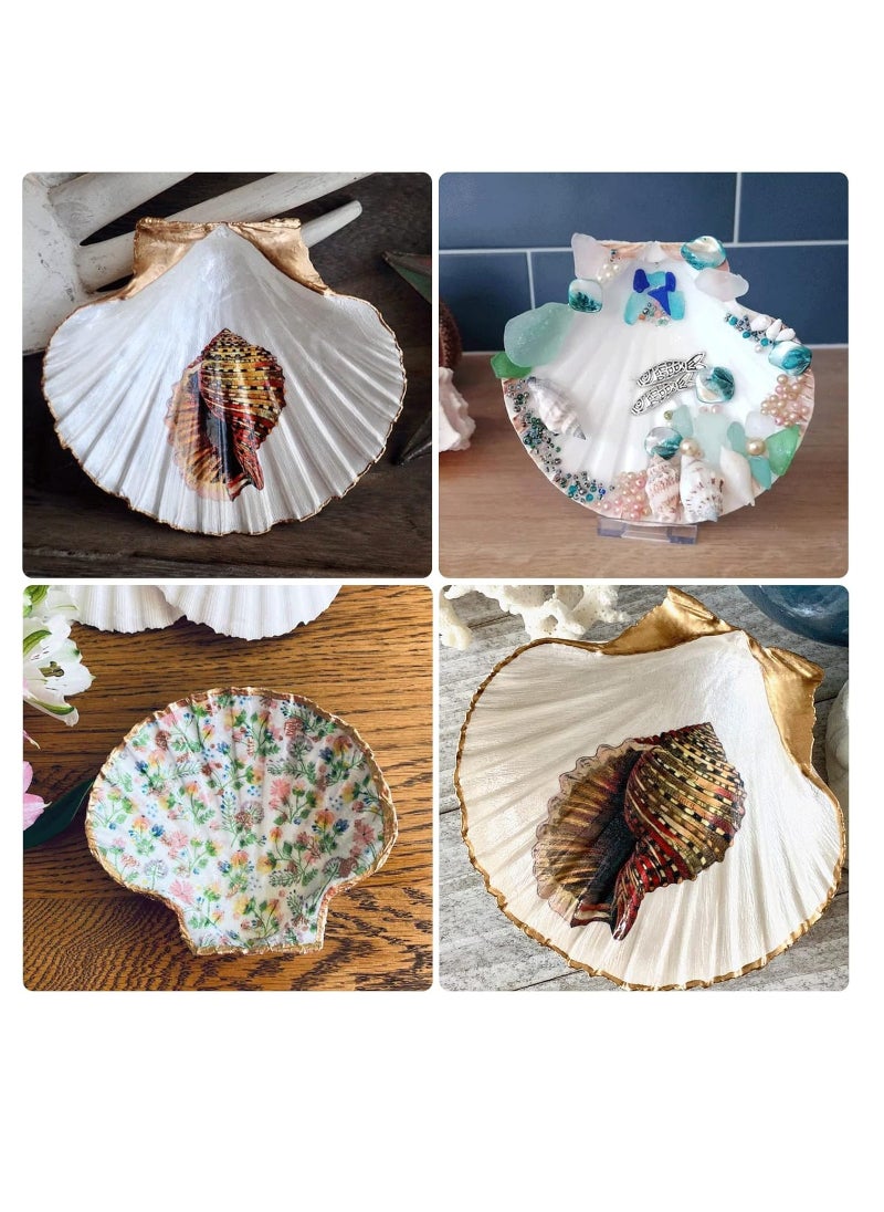 15 pc Set of 2-3" Natural White Scallop Shells for Crafts