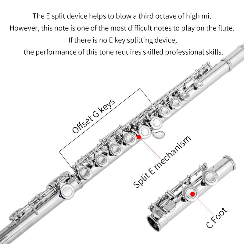 Cadway New C Flutes Closed Hole 16 Keys Flute for Beginner Flute Instrument with Cleaning Kit, Stand, , Gloves, Tuning Rod,Carrying Case, Nickel (Nickel) - Image 2
