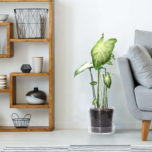 Phoenix Vine 8 Inch Clear Acrylic Planter Pot with Tray Orchid Pot with Drainage Holes Deep Saucer for Bottom Watering Transparent Containers for Indoor Plants Herbs Set of 1 91AG1 - Image 3