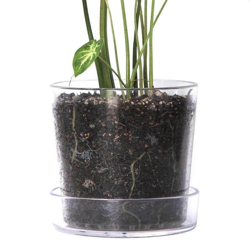 Phoenix Vine 8 Inch Clear Acrylic Planter Pot with Tray Orchid Pot with Drainage Holes Deep Saucer for Bottom Watering Transparent Containers for Indoor Plants Herbs Set of 1 91AG1 - Image 2