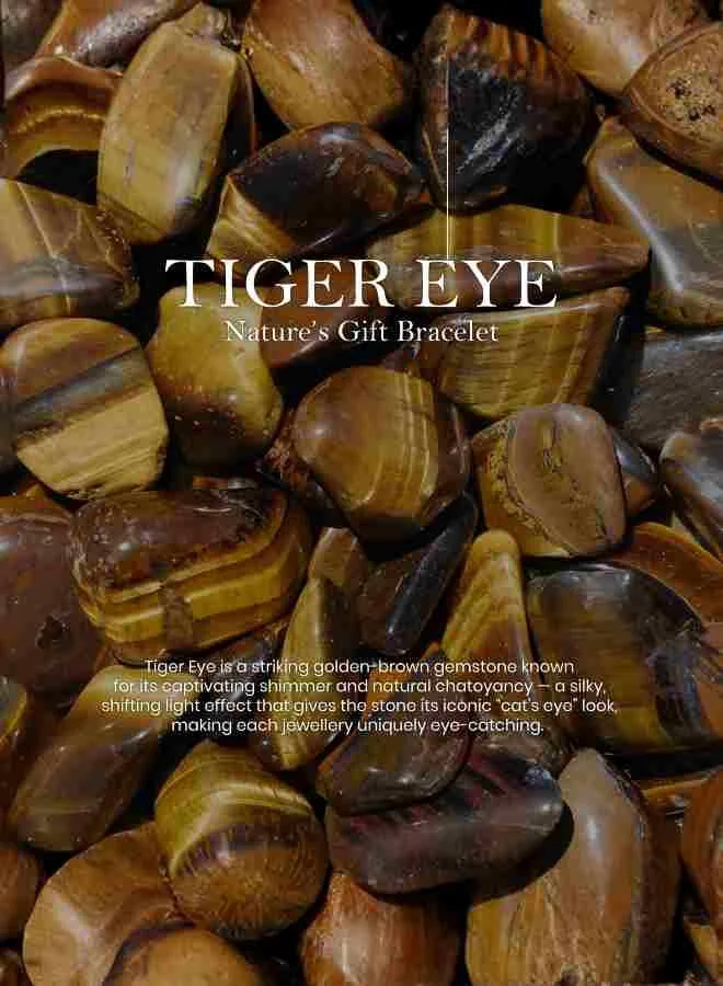 British Fossils سوار رقائق نيتشرز جيفت من حجر عين النمر