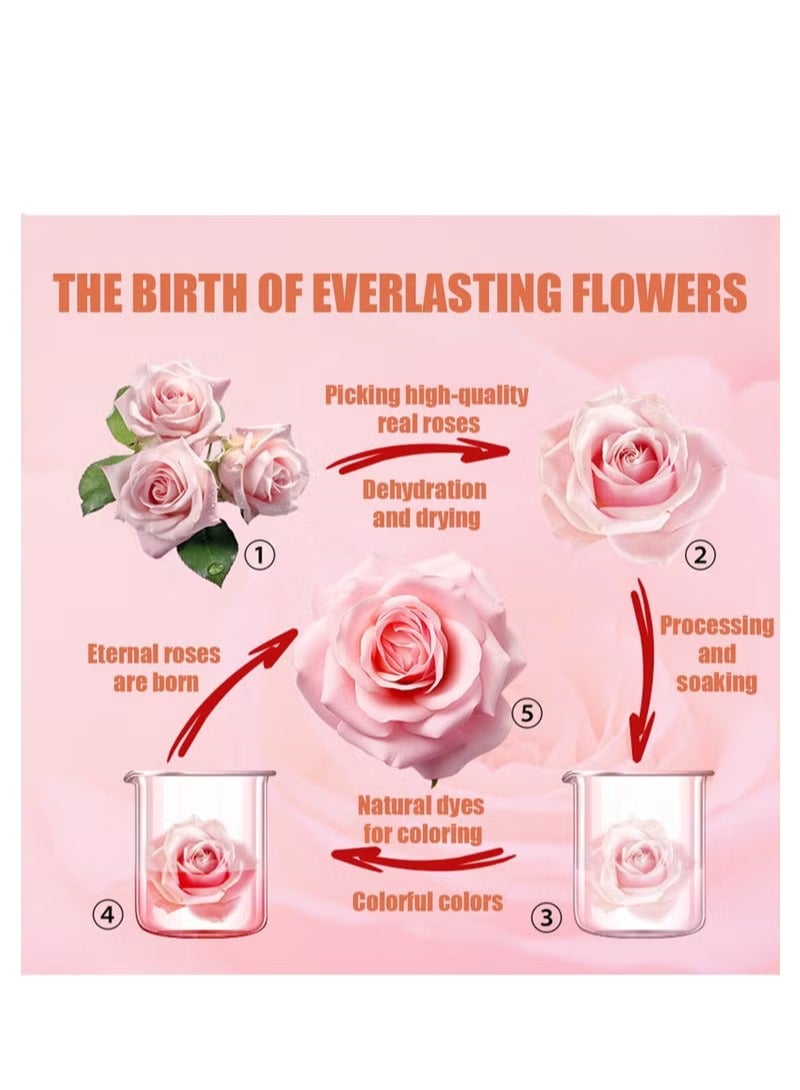 Unewshi 8 Long Lasting Preserved Roses with Necklace -in Jewelry Box for Mom Girlfriend Wife On Valentines Day Mothers Day Birthday Anniversary Romantic Gifts, Creative Gift Box,Romantic Gifts for Her  - Image 4