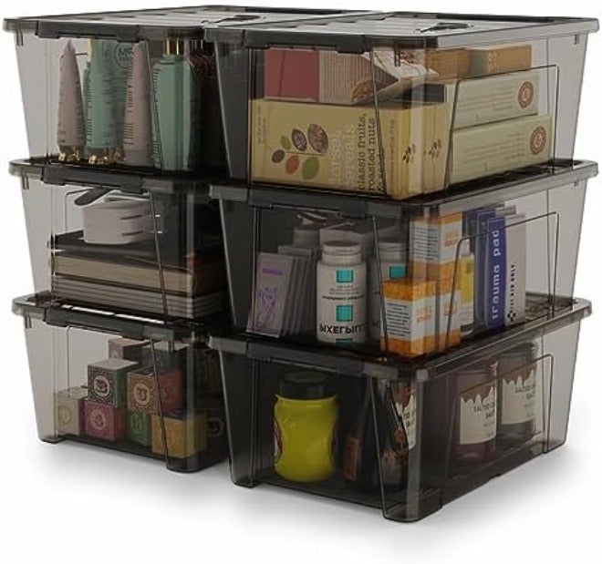 WYT Clear Storage Latch Bins, 6-Pack Storage Organizer Box with Handle and Lids,  5-Litre