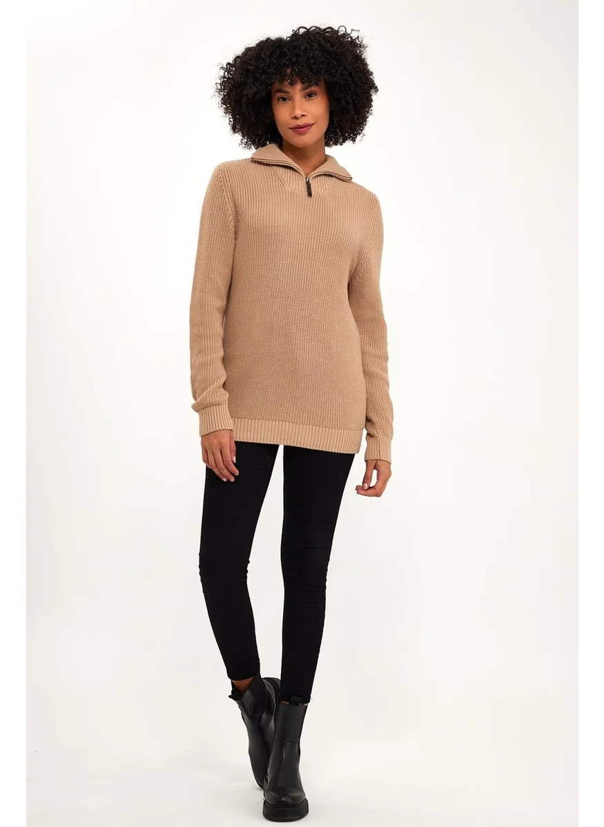 Alexandergardi Zippered Turtleneck Beige Loose Sweater (E22-18121)