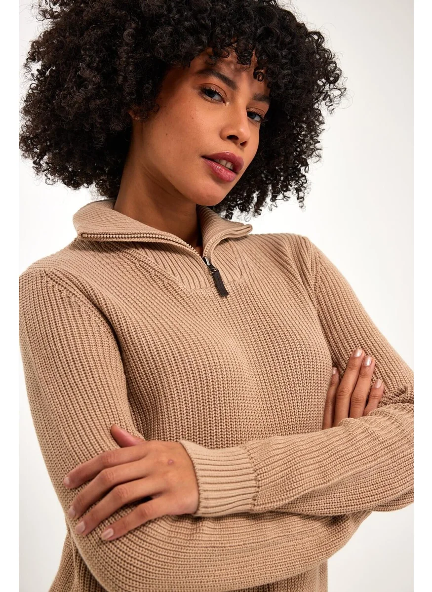 Alexandergardi Zippered Turtleneck Beige Loose Sweater (E22-18121)