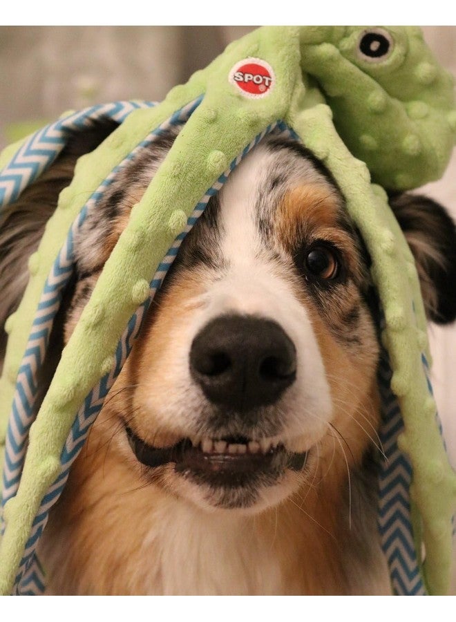 SPOT by Ethical Products Skinneeez Extreme Stuffless Dog Toy with Squeaker | Extra Strong Plush Tug of War Octopus Squeak Toy for Small and Large Dog Breeds | 16", 1-Pack - Image 5