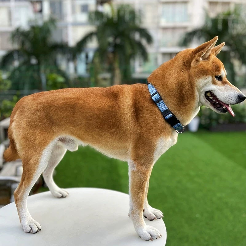 Dog collar, cat collar, dog collar, cat collar, puppies, large, medium and small dogs, pet dogs, teddy dogs, dog collar - Image 1