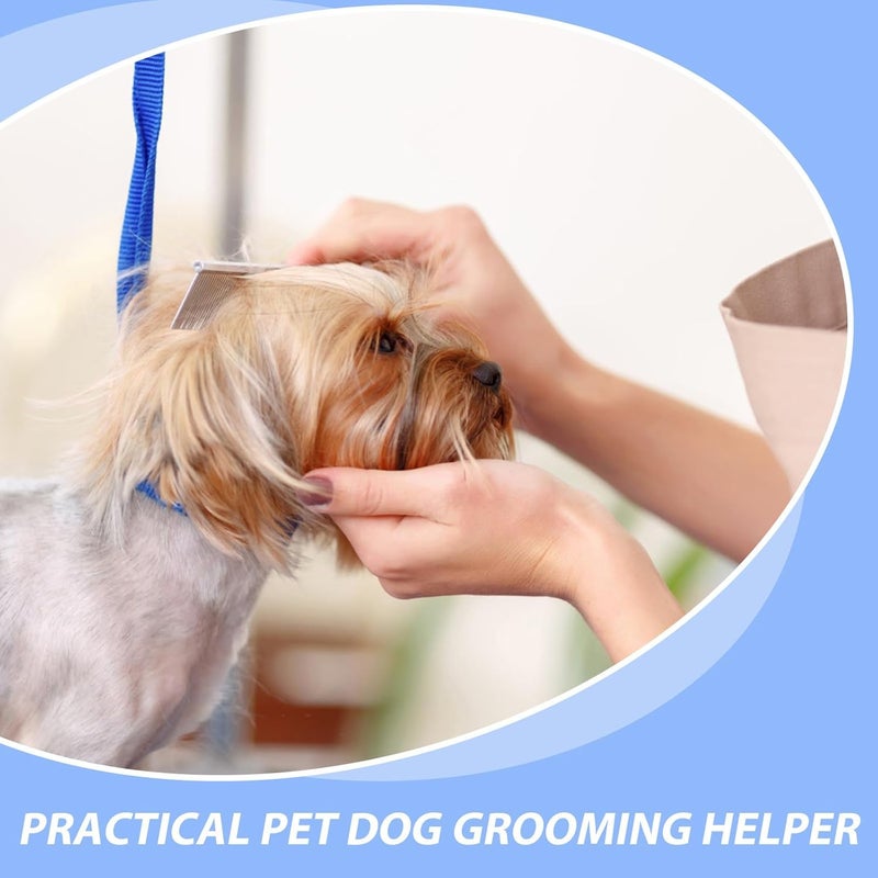 6pcs Pet Dog Grooming Noose Adjustable Nylon Grooming Loop Slip Rope with Blue, Dark Gray, and Rose for Pet Bathing and Table Use - Image 4