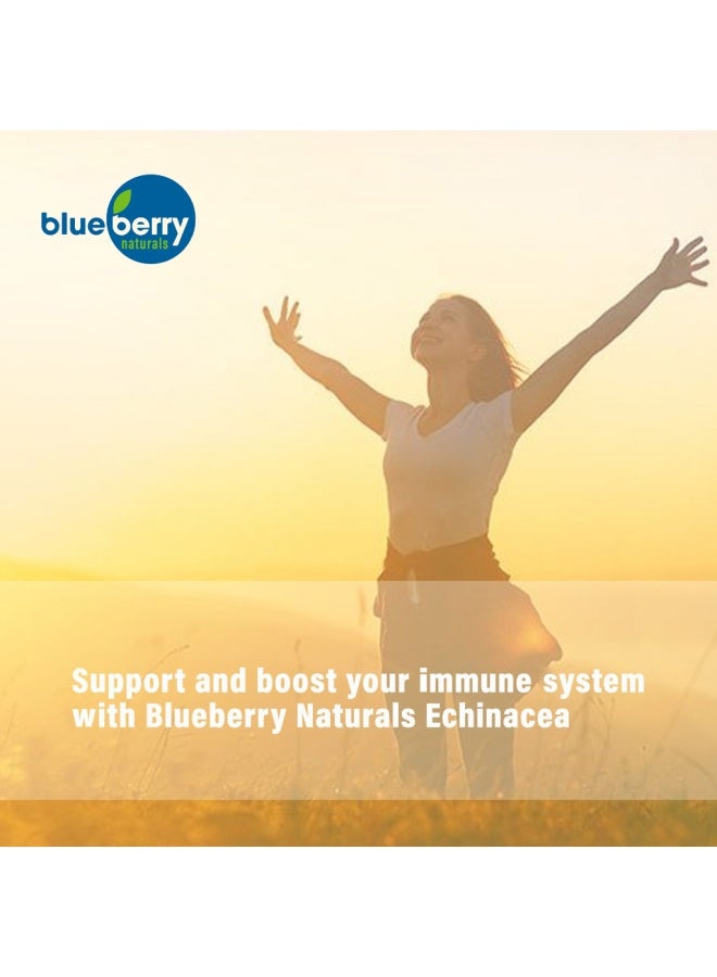 blueberry NATURALS Echinacea 400 Mg Capsules 100'S - Image 5