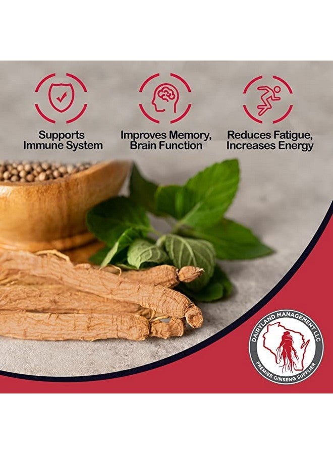 Dairyland Management LLC 100% Authentic Korean Red Panax Ginseng Capsules -500 mg. Potent Ground Ginseng Root Extract Powder - No Fillers, Binders or Other Additives. (150 ct) - Image 4