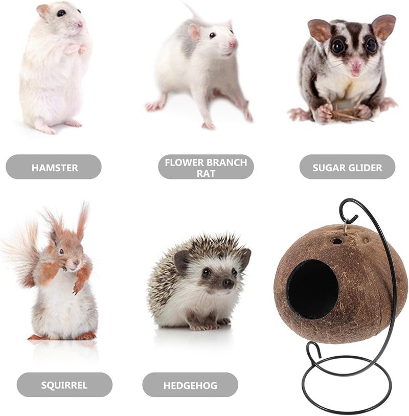 Coconut Shell Hanging Pet Nest with Iron Frame and Cushion, Small Animal Sleeping Bed Swing for Hamsters, Guinea Pigs, and Cage Accessory - Image 3