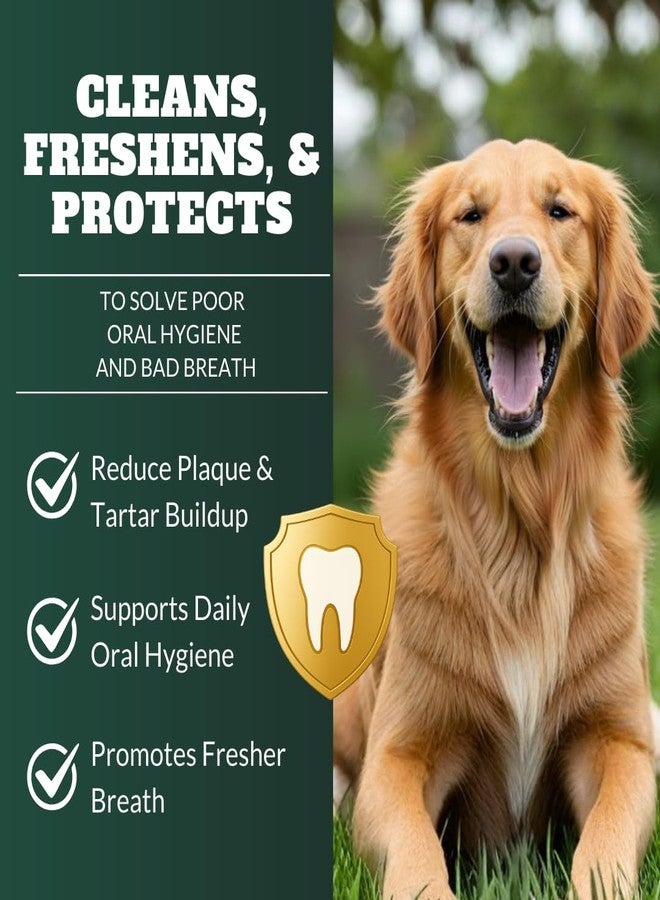 DRMOIS Dog Teeth Cleaning Powder, Dog Dental Powder and Cats Breath Freshener, Plaque Off Pet Tooth Cleaning lab co, Bad Breath & Tartar Remover for Dogs, Dog Teeth Cleaning with Enzymes 120 Day Supply, 120g - Image 2