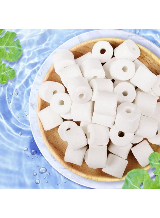 TOPZEA 6 Lb Aquarium Filter Media Ceramic Rings, Premier Bio Filter Medias with Zipper Mesh Bags for Koi Pond, Canister, Fish Tank Filter, Pure White - Image 3