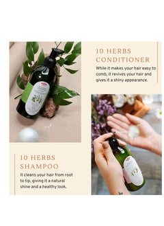 OTACI OTACI 10 Herbs Rejuvenate and Soften Conditioner for All Hair Types, Sage, Peppermint, Melissa, Rosemary, Myrtle, Storax, Thyme, Juniper, Lavender, Chamomile, No Paraben, No Alcohol Herbal Conditioner  - Image 4