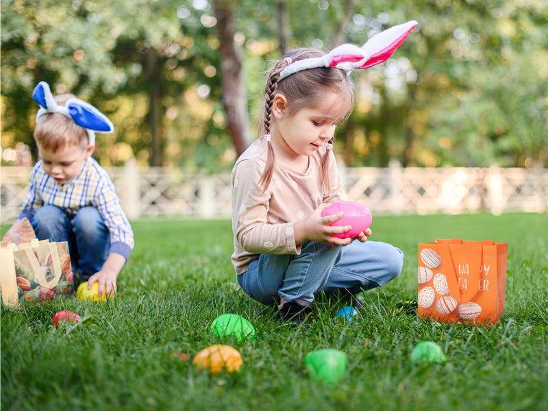 Linelglobal Easter Gift Bag with Handle Happy Easter Non-Woven Bag for Kid Reusable Easter Tote Bag for Egg Hunt Bunny Carrot Chick 8 Pack - Image 5