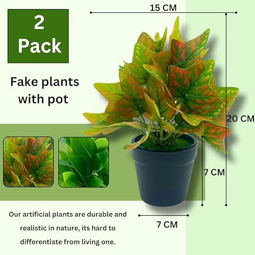 Tdas Artificial Plants Leaves Potted Plant Home Decor Greenery Eucalyptus Small Faux With Pot For Indoor Shelf Farmhouse Desk Bathroom Bedroom Office Decoration (Design1-2Pcs) - Plastic - Image 2
