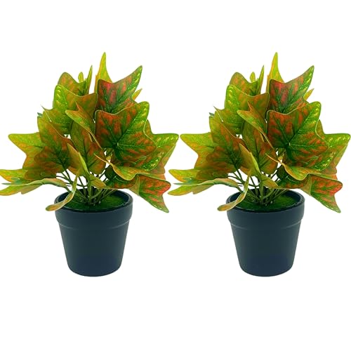 Tdas Artificial Plants Leaves Potted Plant Home Decor Greenery Eucalyptus Small Faux With Pot For Indoor Shelf Farmhouse Desk Bathroom Bedroom Office Decoration (Design1-2Pcs) - Plastic - Image 1