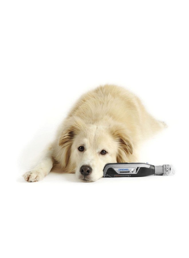 درمل ملحق حماية أظافر الحيوانات الأليفة من دريميل، مثالي لقص أظافر الكلاب والقطط، AT02-PGK - Image 5