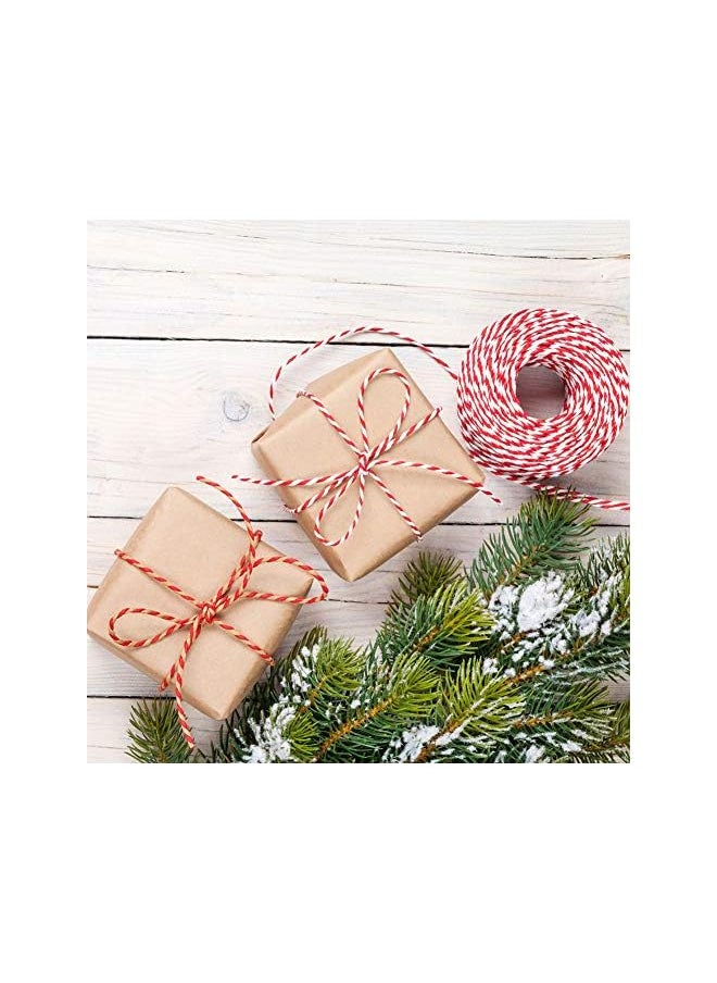 The Bros 100m Red and White String Twine String 2mm Butcher String Cotton Decorative Jute Twine Rope for Gift Wrapping Gardening Baking Butchers DIY Crafts and Handmade Arts  - Image 3