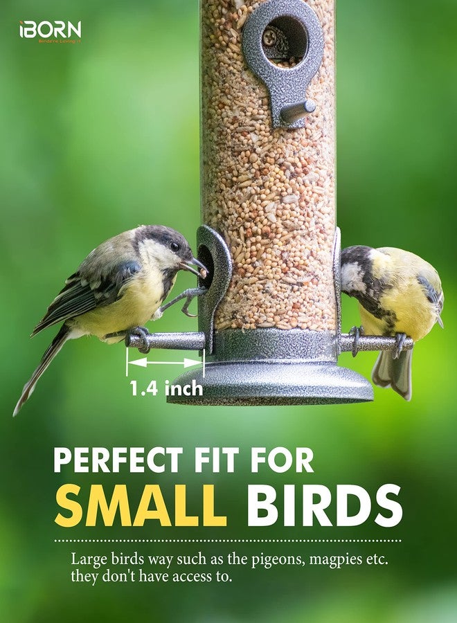 iBorn Metal Bird Feeder Hanging Wild Bird Seed Feeder for Mix Seed Blends Heavy Duty All Metal Silver Finish,15 Inch 6 Port(Seed is not Included),Gift Box - Image 4