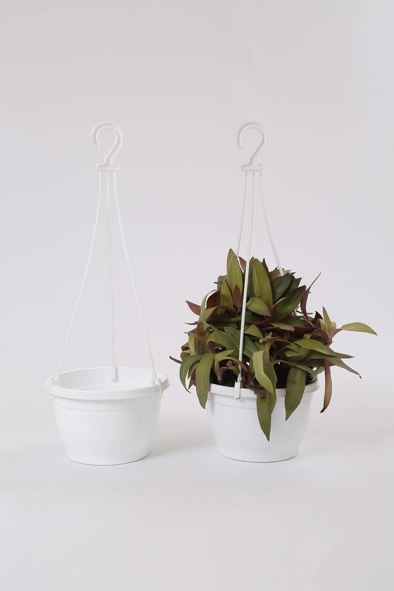 CAPPL 7 Inch Hanging Pot, 6 Pcs, White Colour - Image 4