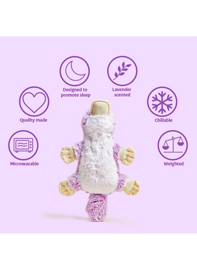 Warmies - S Warmies Cozy Plush Heatable Lavender Scented Stuffed Animal - Image 1