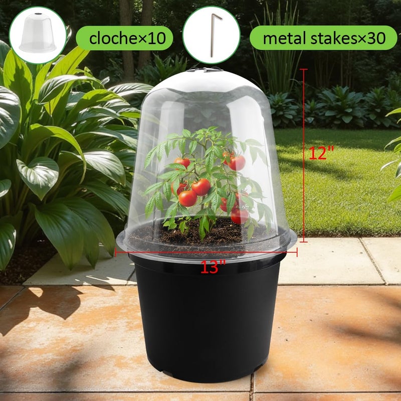 RooTrimmer 13 Inch Humidity Domes Garden Cloches for Plant Protection 10 Pack, Plant Covers Freeze Protection, Protectors from Animals, Garden Clear Plant Cover with Ventilation Holes - Image 2