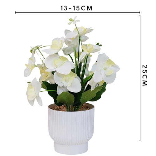 CURATED CART Flower Pot with Artificial Flowers - Orchid White Flower with White Vase | Ideal for Home Décor | Office Décor | Gifting | Size 25 x 15cm - Image 3