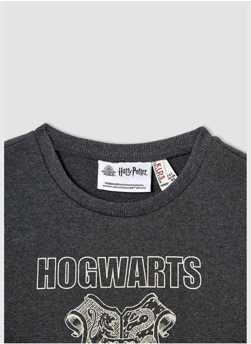 DeFacto Regular Fit Harry Potter Licenced Sweatshirt